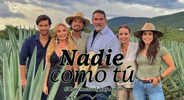 Nadie Como Tu Capitulo 63 Completo En HD